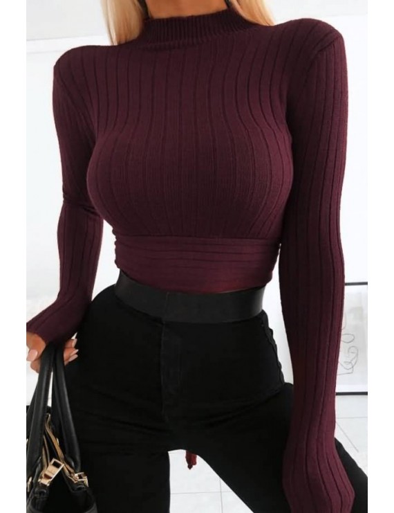 Dark-red Tied Mock Neck Long Sleeve Casual Sweater
