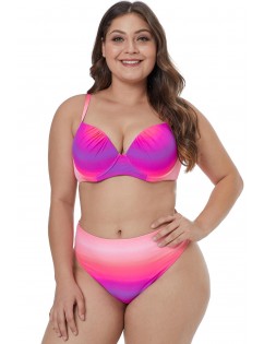 Rose Gradient Color Plus Size Swimwear